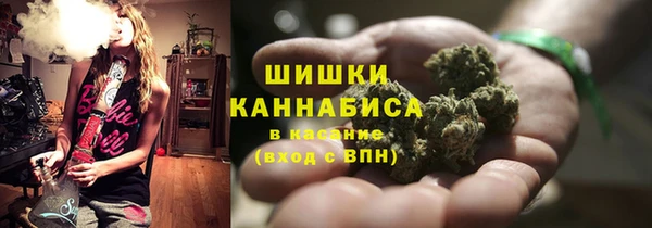 шишки Кулебаки
