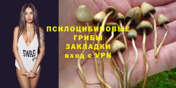 стафф Краснослободск