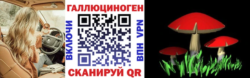Псилоцибиновые грибы Cubensis  Иваново 