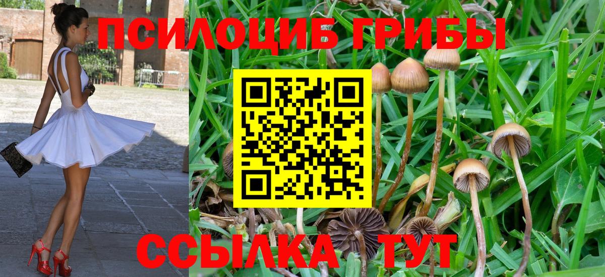 Псилоцибиновые грибы Magic Shrooms  где можно купить наркотик  Иваново  Вход с VPN 