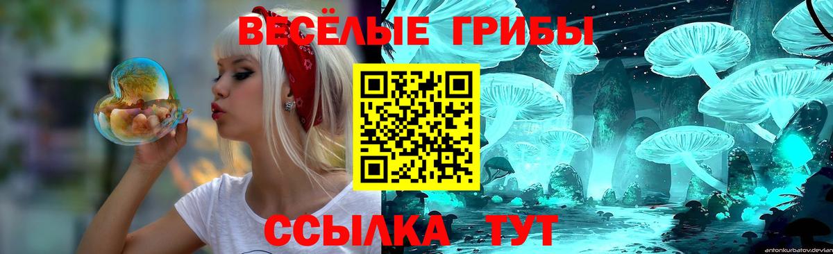 Псилоцибиновые грибы мухоморы Иваново